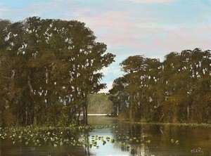 C. Ford Riley - Black Creek - oil on canvas - 30 x 40