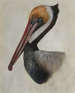 Rafael Soares - American Brown Pelican - watercolor - 10 x 8